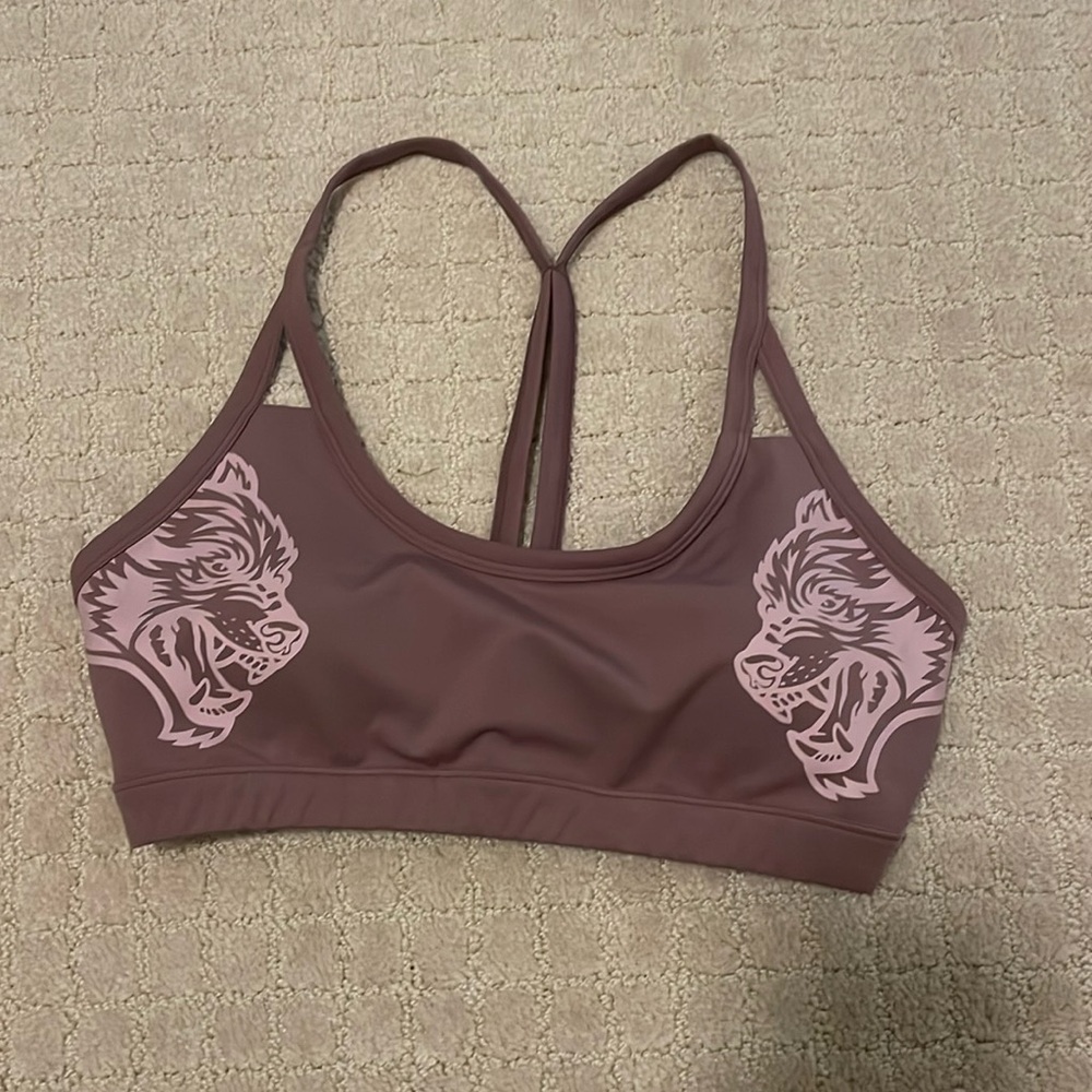 Darcsport sports bra